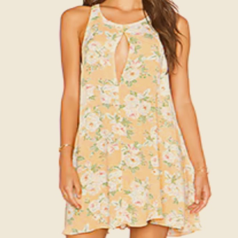 Privacy Please swing dress